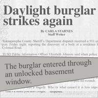 Daylight burglar strikes again